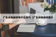 广东闲来麻将有什么技巧（广东闲来麻将图片）