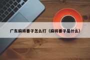 广东麻将番子怎么打（麻将番子是什么）