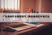 广东梅州红中麻将技巧（梅县麻将红中宝打法）
