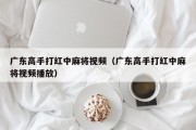 广东高手打红中麻将视频（广东高手打红中麻将视频播放）