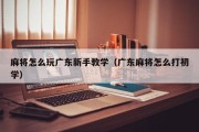 麻将怎么玩广东新手教学（广东麻将怎么打初学）